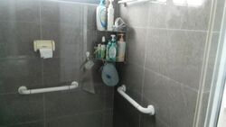 Blk 250 Choa Chu Kang Avenue 2 (Choa Chu Kang), HDB 4 Rooms #484699161